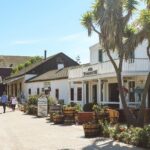Important questions to ask while selecting home cleaning services