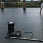 Should You Invest in Professional Pest Control for Mice?