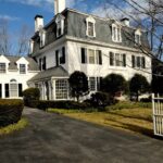 Understanding Wasp Control in Manchester with Professional Pest Wizards