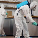 What Are The Definite Signs of Termite Infestation And How To Get Rid of It?