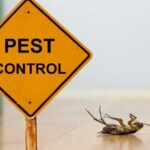 Pest Control for Commercial Properties —Tips