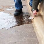 Soil Testing for Lawns: The Path to a Lush, Green Oasis