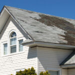 Why Year-Round Pest Control Is a Smart Investment