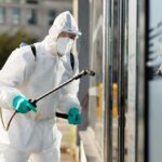 Why Year-Round Pest Control Is a Smart Investment