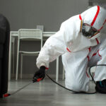 The Cost of Roof Replacement: Budgeting for Your Home