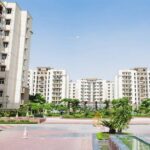 Strategies For Organizing A Successful Paver Installation