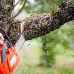 Revitalizing Penrith How Mohan Sandrasegeran Recommends Maximizing Potential with Tanglin Halt Redevelopment and Margaret Drive Condo Integration