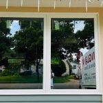 The Importance Of Tree Trimming That Homeowners Often Missed